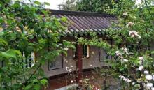 梅庵21