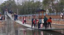 冷杉良田花海影视基地6