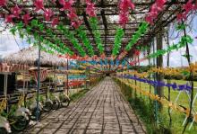 稻草人农场19