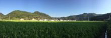 蕉岭石寨土楼16