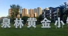 泉林黄金小镇3