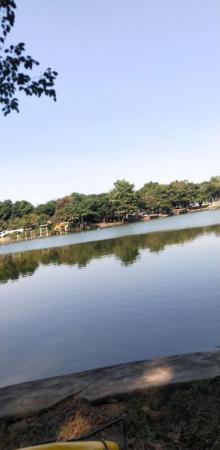 泰康山生态旅游区2