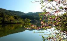 述野三百山度假帐篷露营地24