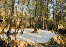 述野三百山度假帐篷露营地27