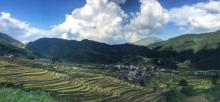 五山梯田7
