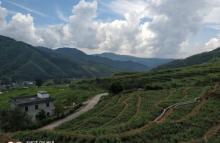 五山梯田5