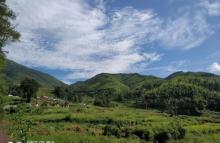 五山梯田3