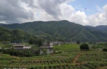 五山梯田6