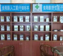 赣州蘑菇小镇12
