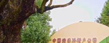 中国赣南脐橙产业园景区1