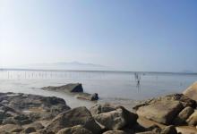 海山石龟2
