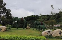 象窝山生态园15