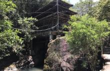 幽谷逸林6