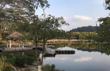 西湖公园8
