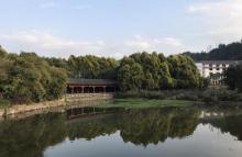 西湖公园9