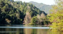 蕉岭县长潭旅游区18