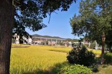 百侯名镇旅游区6