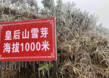 皇后山生态旅游度假区16