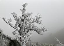 皇后山生态旅游度假区22