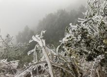 皇后山生态旅游度假区20