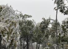 皇后山生态旅游度假区17