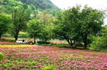 漳州云霄乌山风景名胜区13