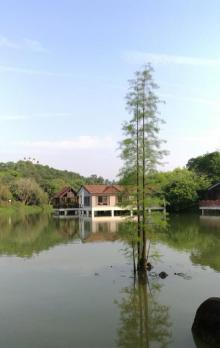 潮州绿岛旅游山庄6