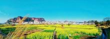 金鸡岭2