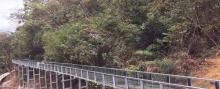 凤翔峡原始生态旅游区8