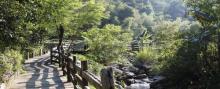 桥溪古韵16