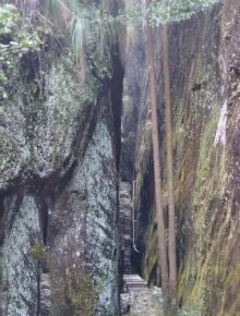 青龙岩风景区18