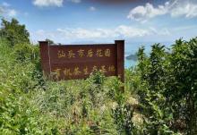 后花园生态旅游村4