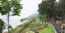 后花园生态旅游村3