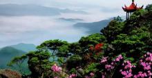 阳明山国家森林公园1