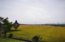上元稻田公园5