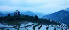 坪山梯田旅游区25