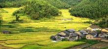 坪山梯田旅游区16