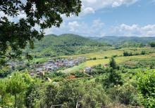 坪山梯田旅游区7