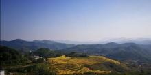 坪山梯田旅游区5