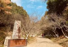 梅关古道10