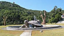 黄花山森林公园3