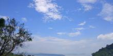 黄花山森林公园22