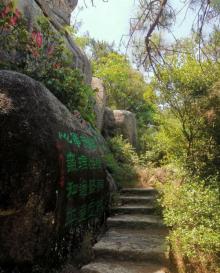 黄花山森林公园20