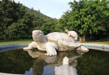 黄花山森林公园5