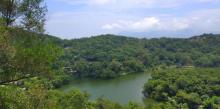 黄花山森林公园25