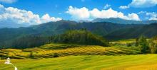 欧家梯田14