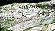 欧家梯田9