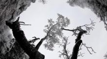 清远金子山原生态旅游风景区11