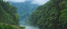 九龙江国家森林公园26