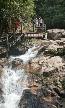 九龙江国家森林公园9